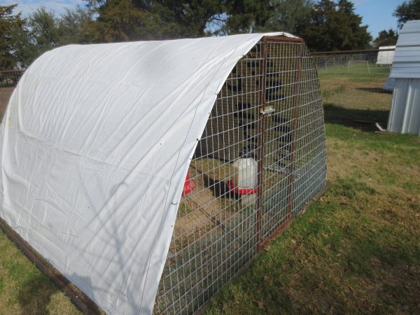 Small, portable hoop coop