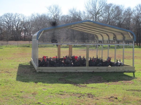 Carport coop