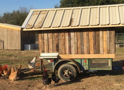 Portable eggmobile